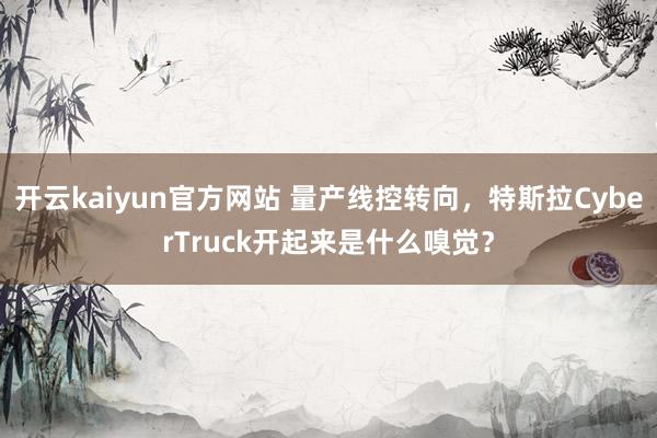 开云kaiyun官方网站 量产线控转向，特斯拉CyberTruck开起来是什么嗅觉？