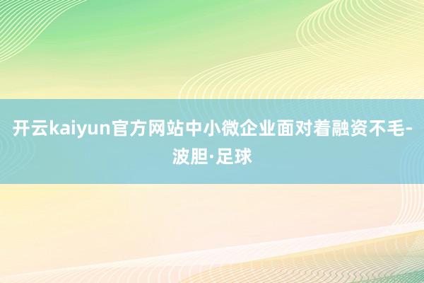 开云kaiyun官方网站中小微企业面对着融资不毛-波胆·足球