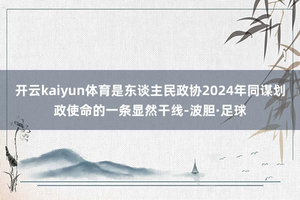 开云kaiyun体育是东谈主民政协2024年同谋划政使命的一条显然干线-波胆·足球
