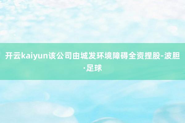 开云kaiyun该公司由城发环境障碍全资捏股-波胆·足球