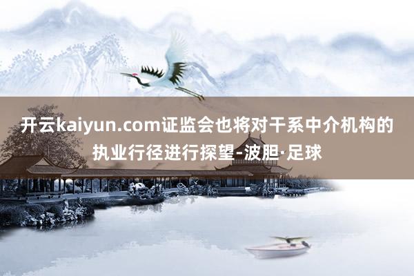 开云kaiyun.com证监会也将对干系中介机构的执业行径进行探望-波胆·足球