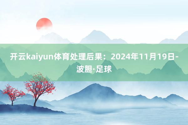 开云kaiyun体育处理后果：2024年11月19日-波胆·足球