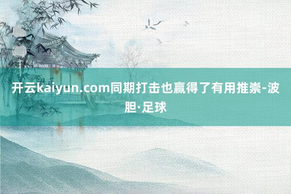 开云kaiyun.com同期打击也赢得了有用推崇-波胆·足球