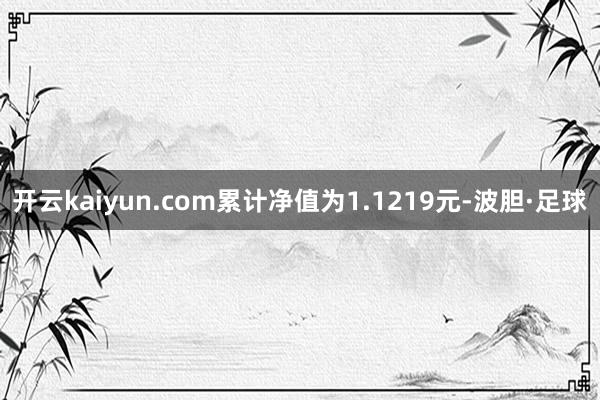 开云kaiyun.com累计净值为1.1219元-波胆·足球