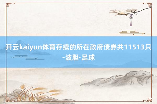 开云kaiyun体育存续的所在政府债券共11513只-波胆·足球