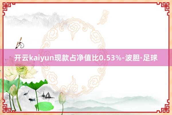 开云kaiyun现款占净值比0.53%-波胆·足球