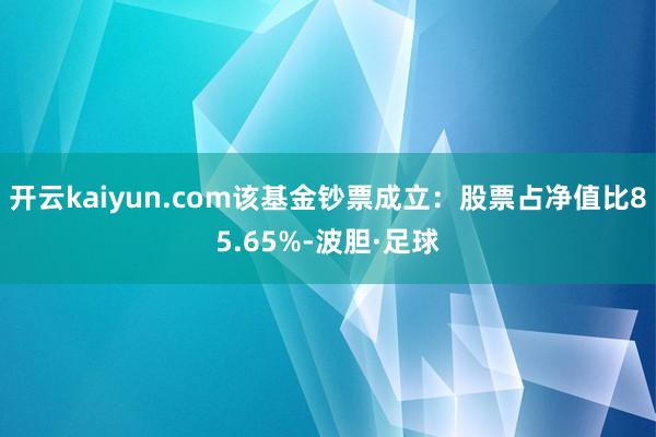 开云kaiyun.com该基金钞票成立：股票占净值比85.65%-波胆·足球