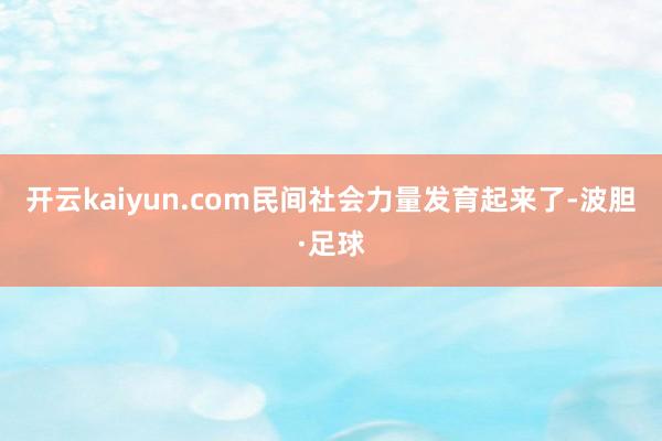 开云kaiyun.com民间社会力量发育起来了-波胆·足球