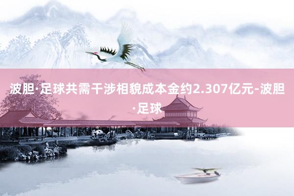 波胆·足球共需干涉相貌成本金约2.307亿元-波胆·足球