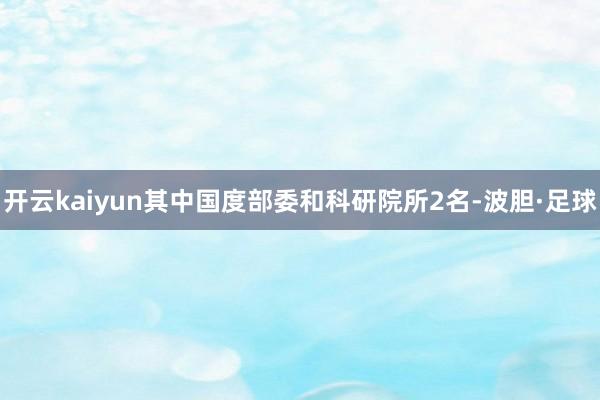 开云kaiyun其中国度部委和科研院所2名-波胆·足球
