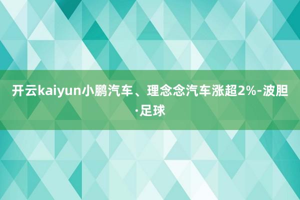 开云kaiyun小鹏汽车、理念念汽车涨超2%-波胆·足球