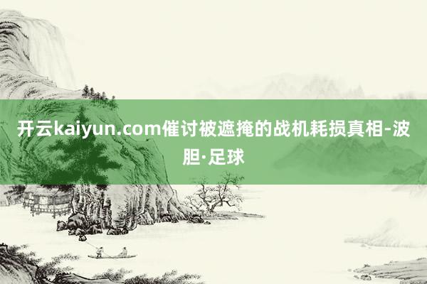 开云kaiyun.com催讨被遮掩的战机耗损真相-波胆·足球