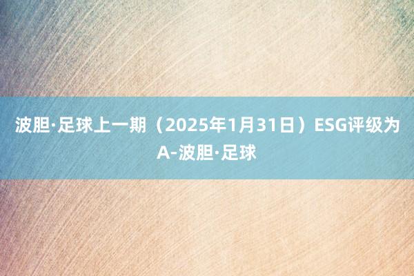 波胆·足球上一期（2025年1月31日）ESG评级为A-波胆·足球