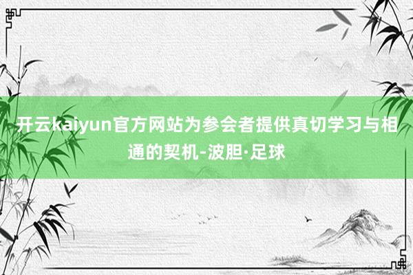 开云kaiyun官方网站为参会者提供真切学习与相通的契机-波胆·足球