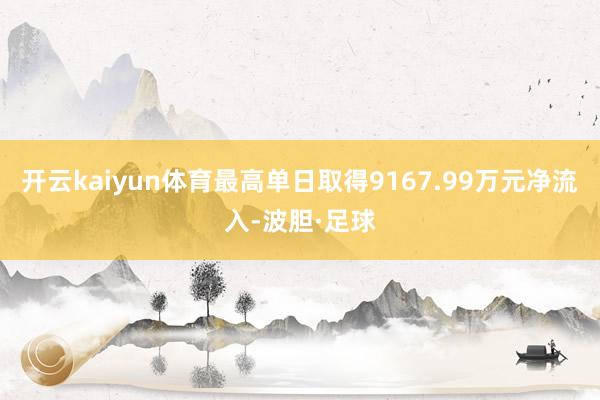 开云kaiyun体育最高单日取得9167.99万元净流入-波胆·足球