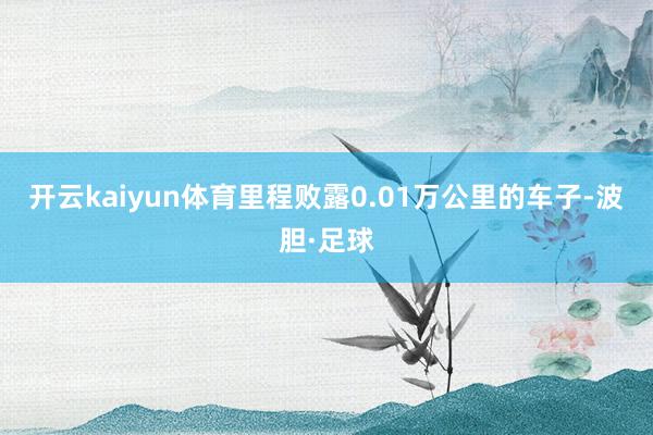 开云kaiyun体育里程败露0.01万公里的车子-波胆·足球