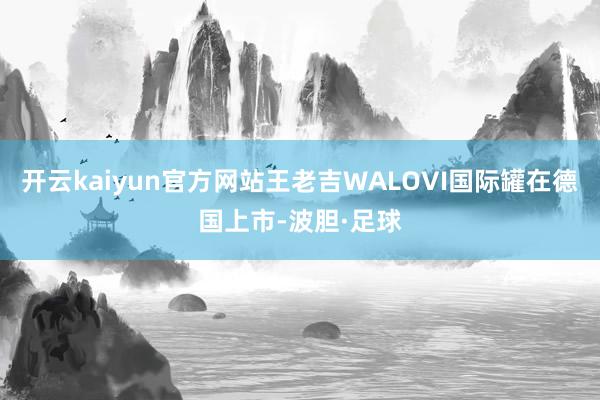 开云kaiyun官方网站王老吉WALOVI国际罐在德国上市-波胆·足球
