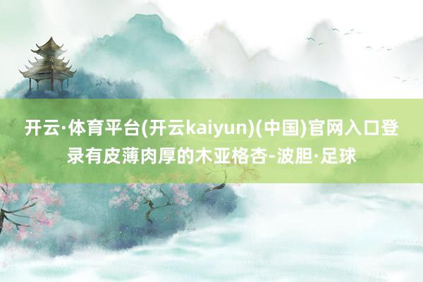 开云·体育平台(开云kaiyun)(中国)官网入口登录有皮薄肉厚的木亚格杏-波胆·足球