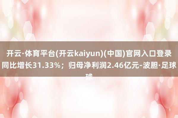 开云·体育平台(开云kaiyun)(中国)官网入口登录同比增长31.33%；归母净利润2.46亿元-波胆·足球