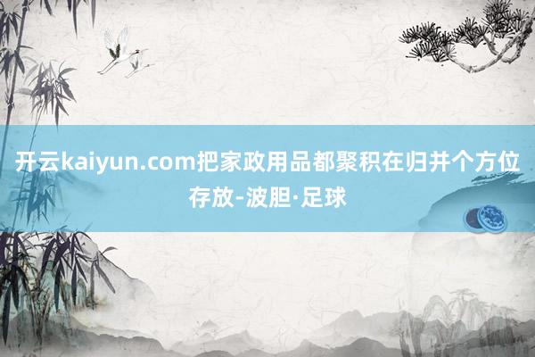 开云kaiyun.com把家政用品都聚积在归并个方位存放-波胆·足球