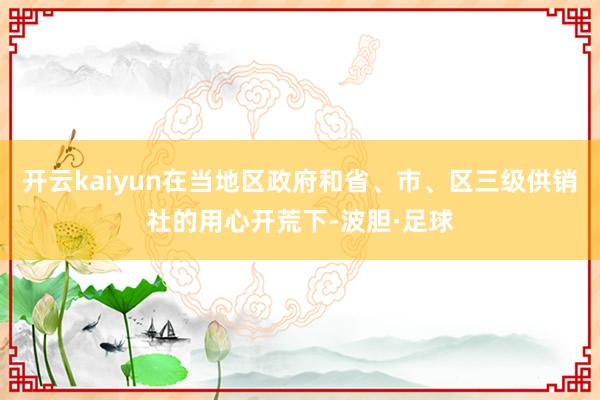 开云kaiyun在当地区政府和省、市、区三级供销社的用心开荒下-波胆·足球