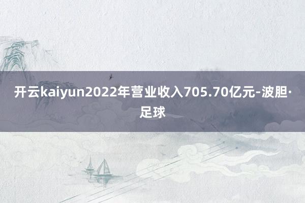 开云kaiyun2022年营业收入705.70亿元-波胆·足球