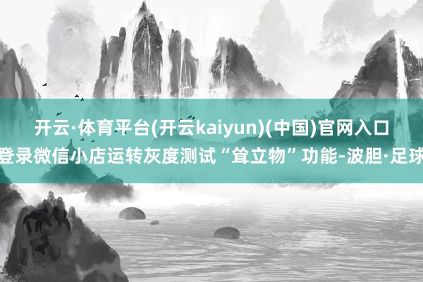 开云·体育平台(开云kaiyun)(中国)官网入口登录微信小店运转灰度测试“耸立物”功能-波胆·足球