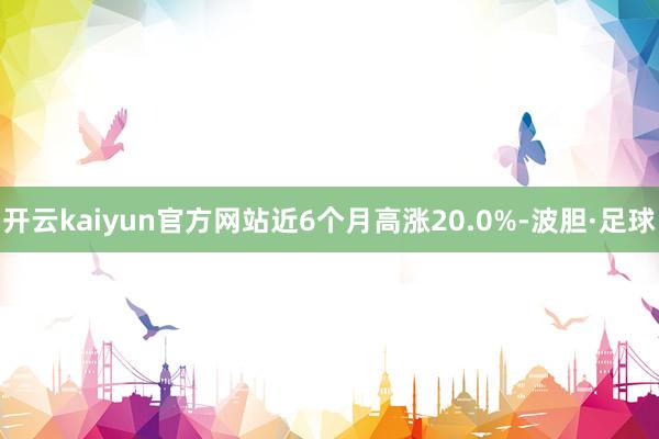 开云kaiyun官方网站近6个月高涨20.0%-波胆·足球