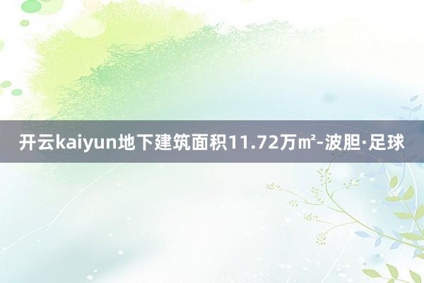 开云kaiyun地下建筑面积11.72万㎡-波胆·足球