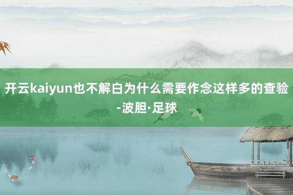 开云kaiyun也不解白为什么需要作念这样多的查验-波胆·足球