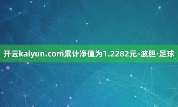 开云kaiyun.com累计净值为1.2282元-波胆·足球