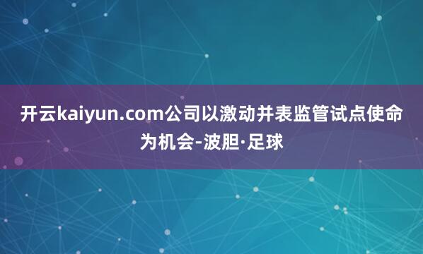 开云kaiyun.com公司以激动并表监管试点使命为机会-波胆·足球