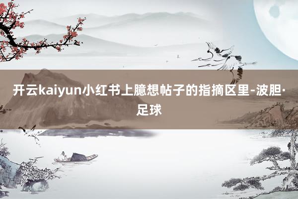 开云kaiyun小红书上臆想帖子的指摘区里-波胆·足球
