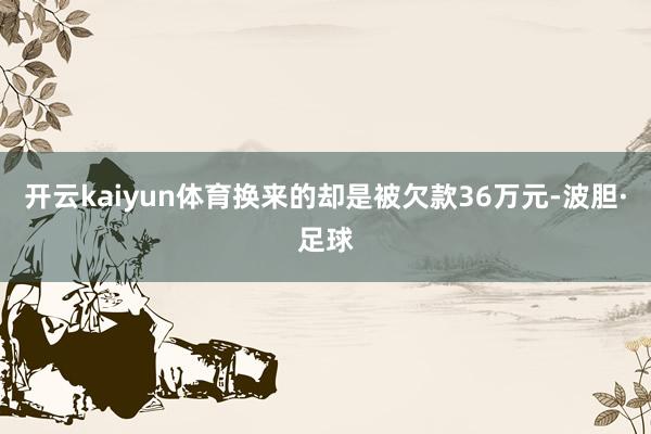 开云kaiyun体育换来的却是被欠款36万元-波胆·足球
