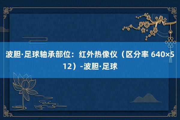 波胆·足球轴承部位：红外热像仪（区分率 640×512）-波胆·足球