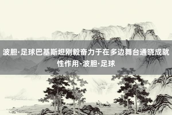 波胆·足球巴基斯坦刚毅奋力于在多边舞台通晓成就性作用-波胆·足球