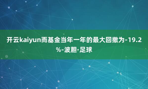 开云kaiyun而基金当年一年的最大回撤为-19.2%-波胆·足球